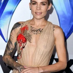 Skylar šedé bradavky v průhledných šatech