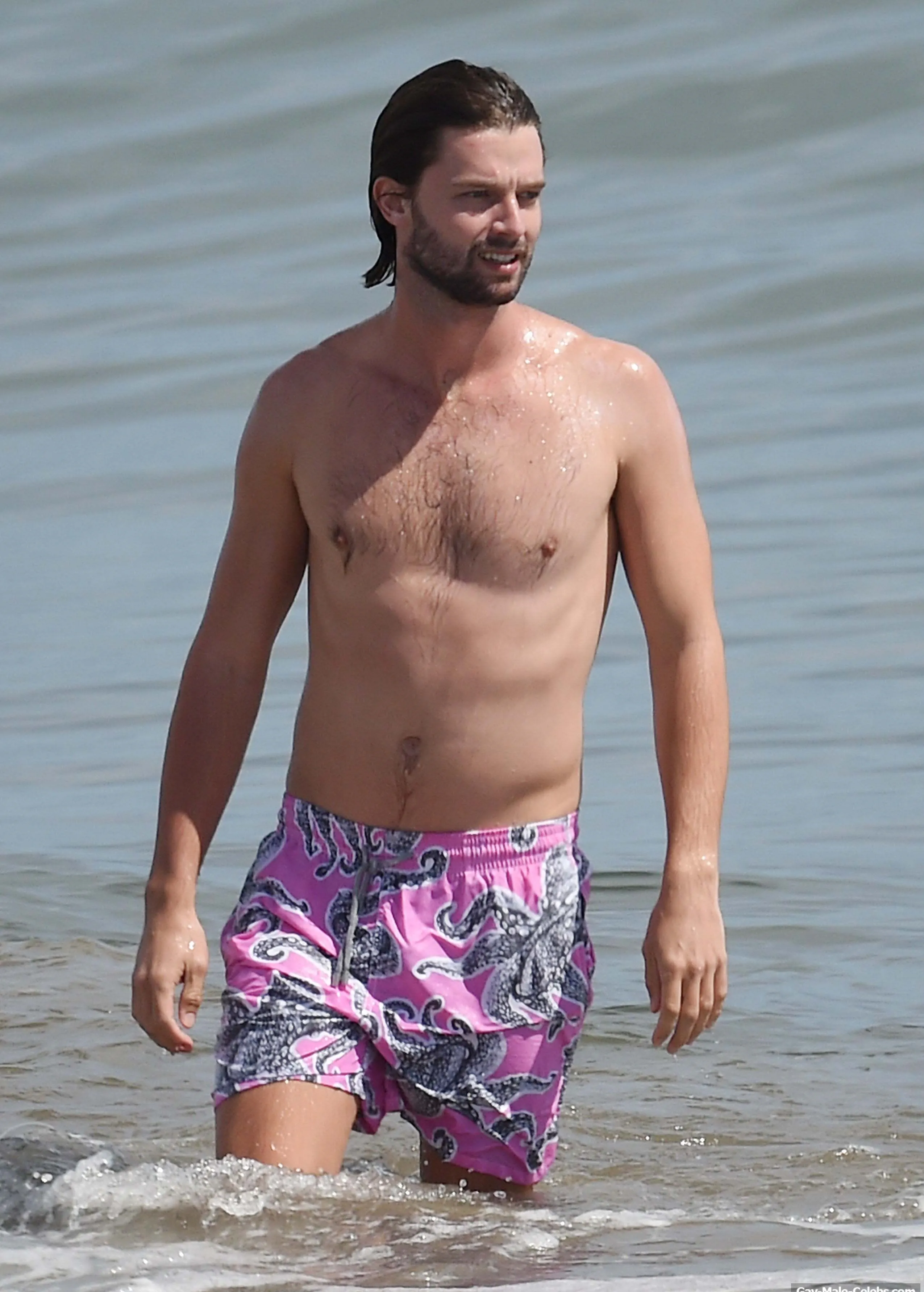 Patrick Schwarzenegger bulge