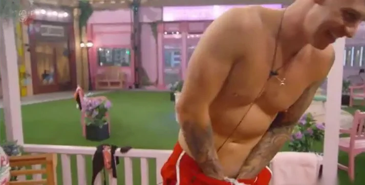 Bintang benar -benar dan chunar menunjukkan ayam besar mereka