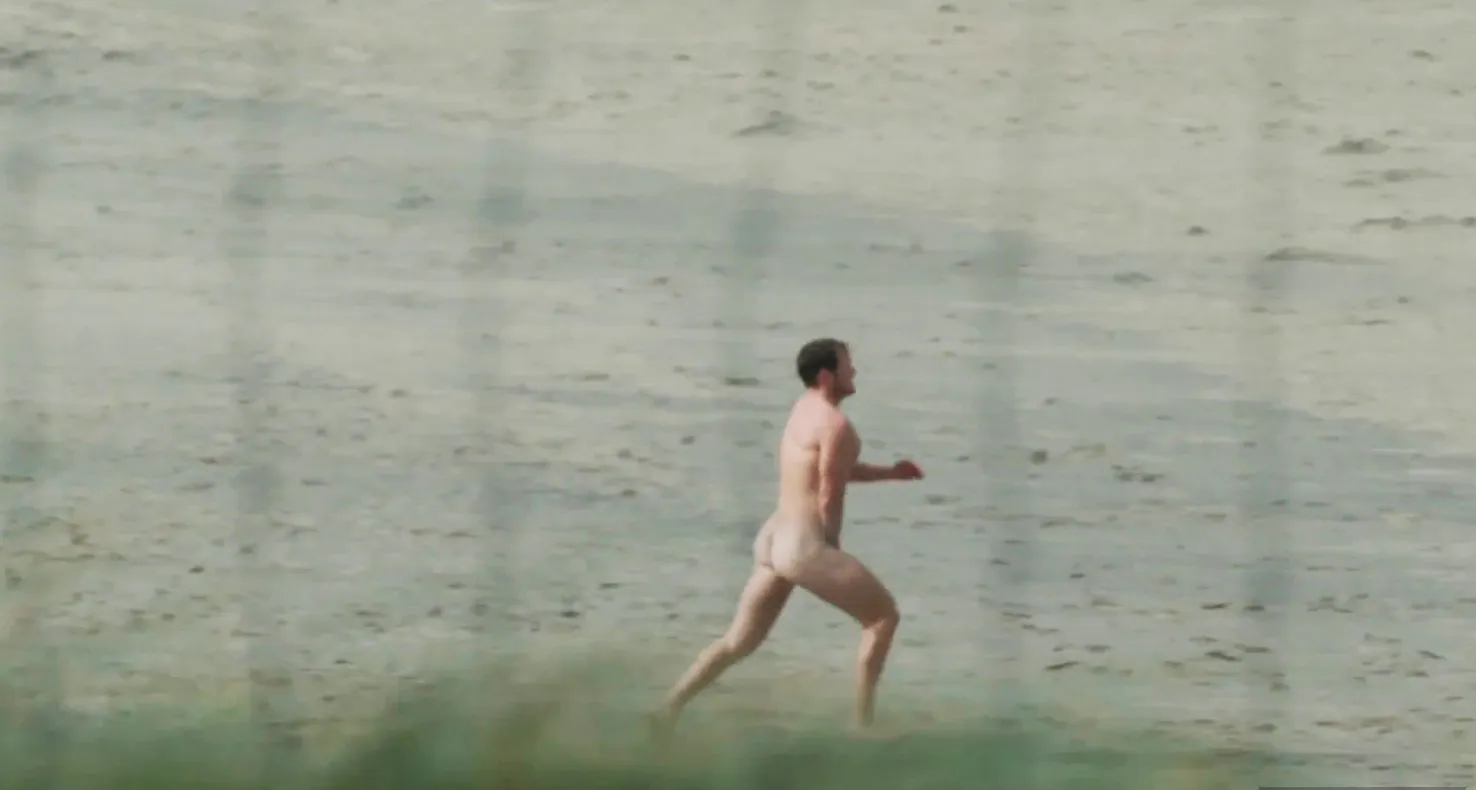 När grisar springer på stranden