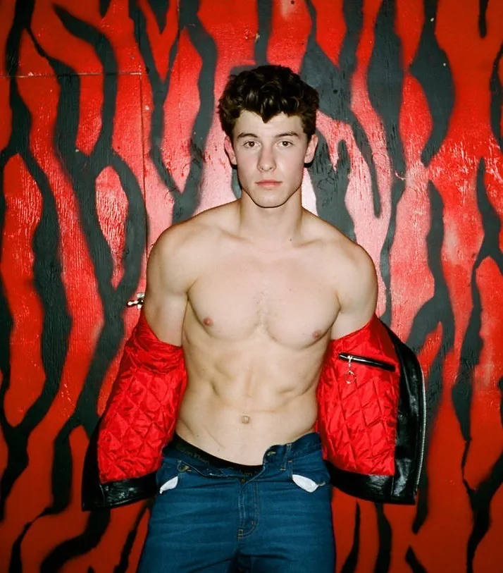 Shawn Mendes Nude