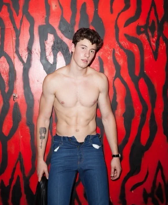 Shawn Mendes Nude