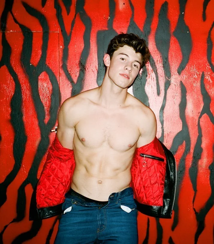 Shawn Mendes Nude