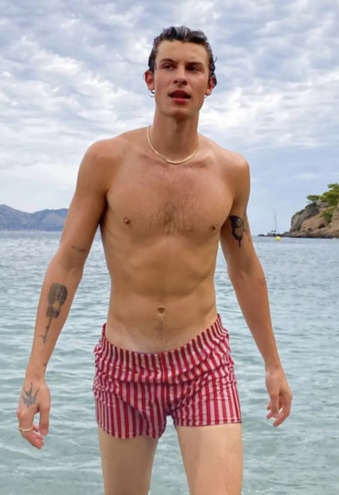 Shawn Mendes bulge pics