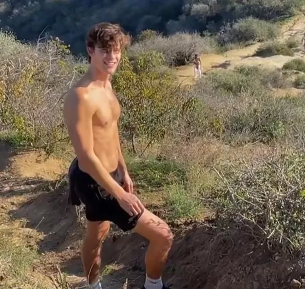 Shawn Mendes nude photos