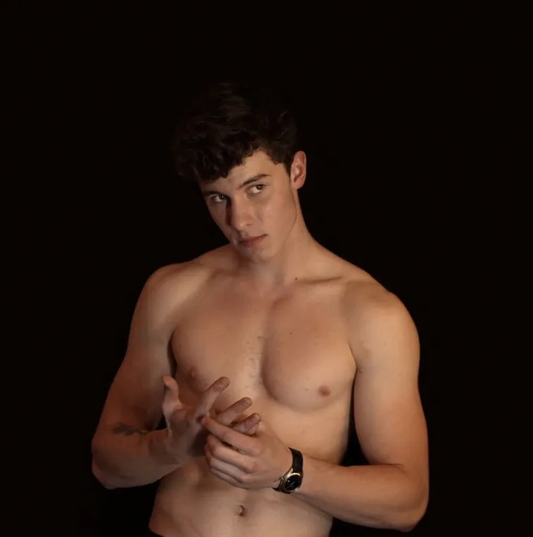 Shawn Mendes nude
