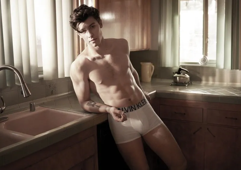 Shawn Mendes nude