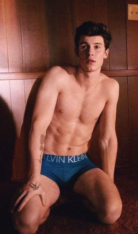 Shawn Mendes nude