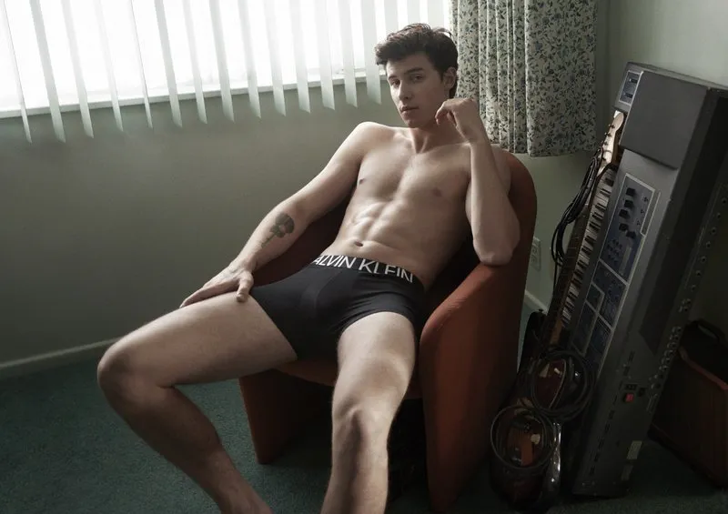 Shawn Mendes nude