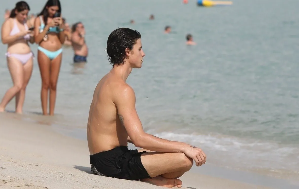 Shawn Mendes sexy