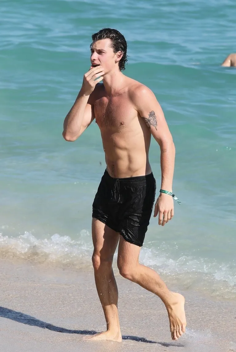 Shawn Mendes oops naked