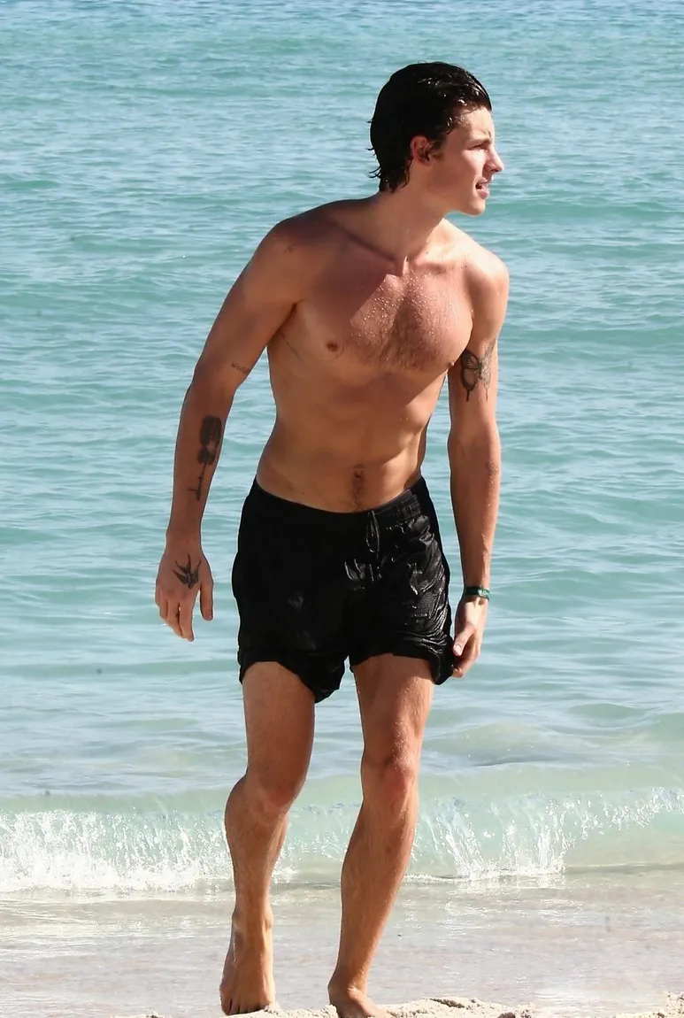 Shawn Mendes nude shots