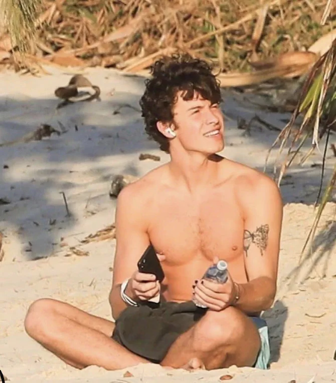 Shawn Mendes nude