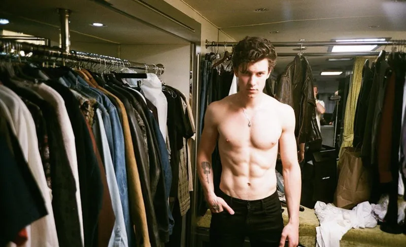 Shawn Mendes nude