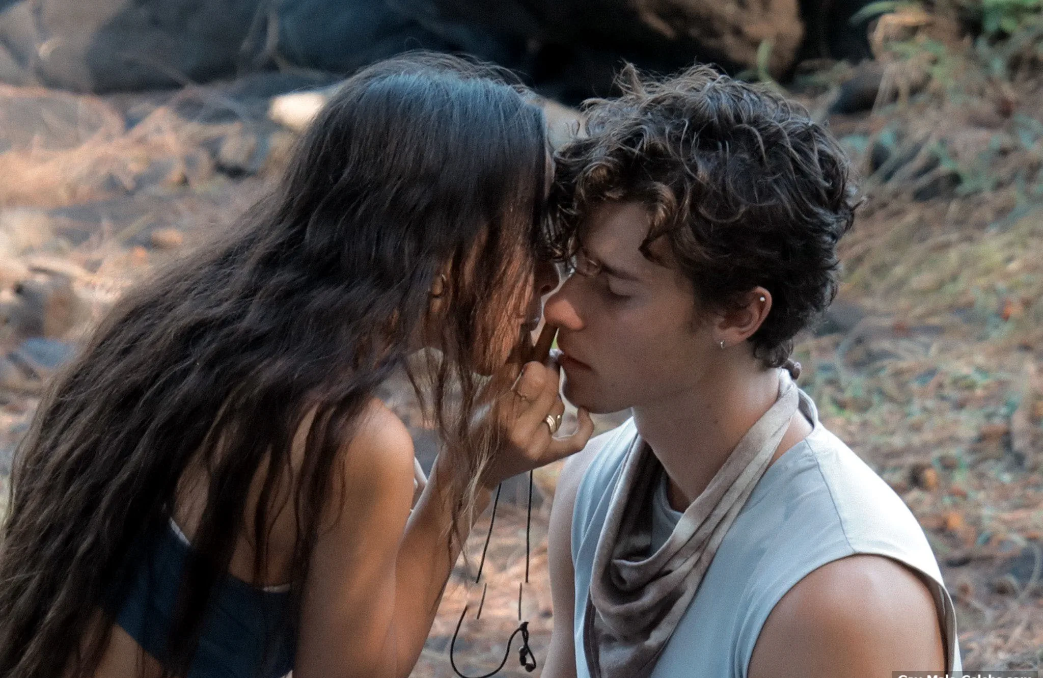 Shawn Mendes sex tape