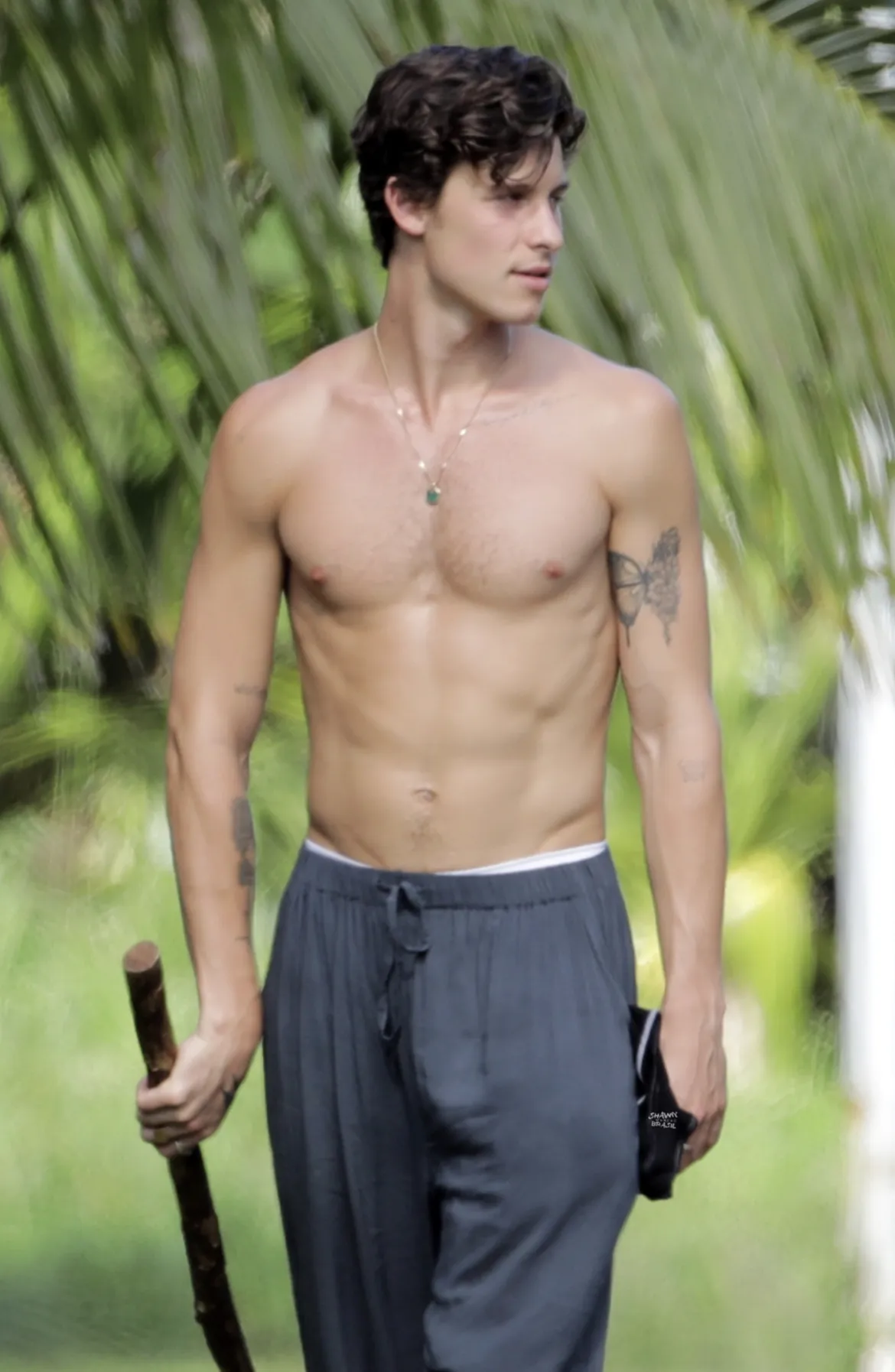 Shawn Mendes nude photos