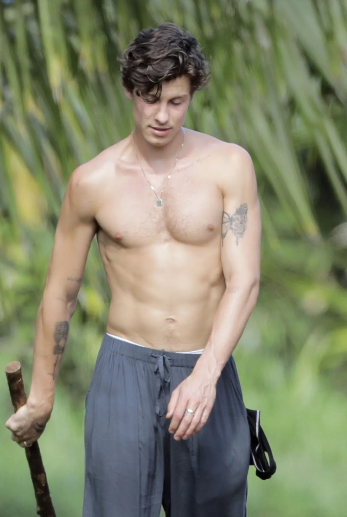 Shawn Mendes shirtless pics
