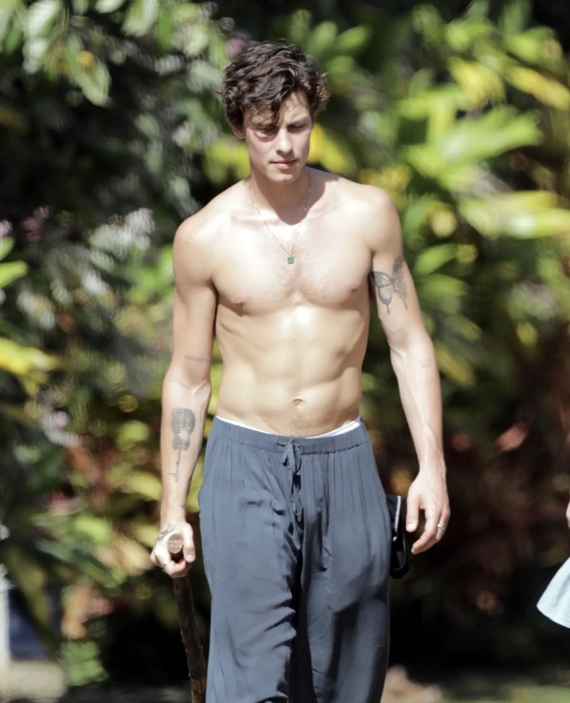 Shan Mendes Gran Poult