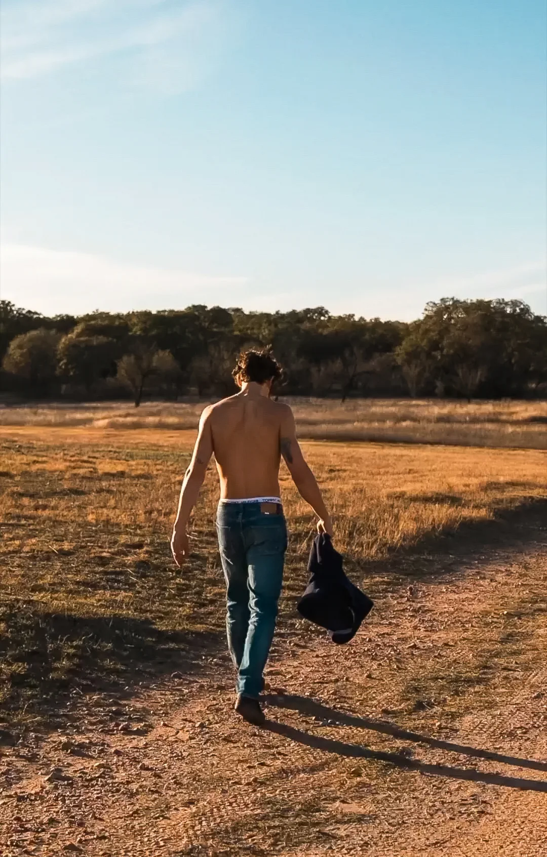 Shawn Mendes shirtless