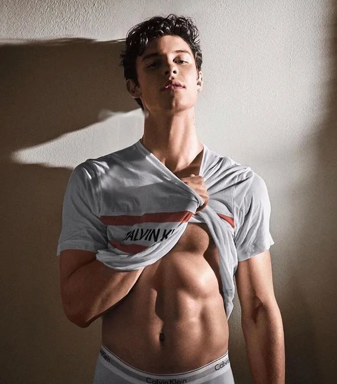 Shawn Mendes nude