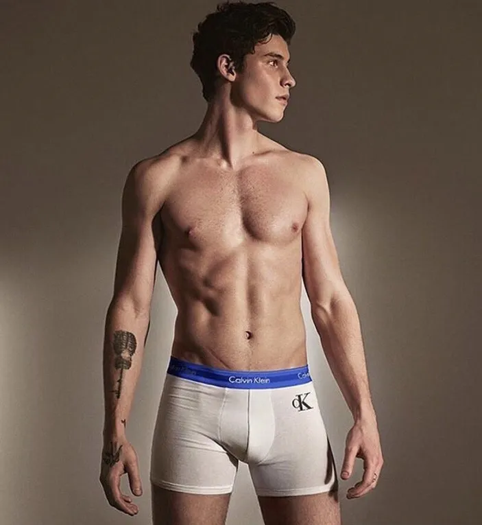 Shawn Mendes nude