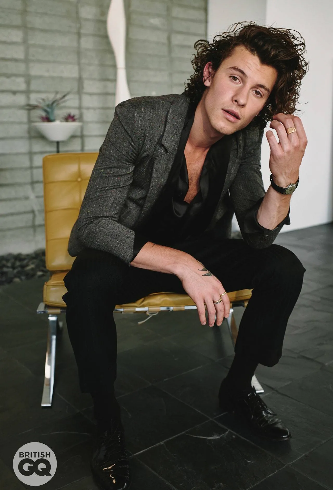 Shawn Mendes shirtless