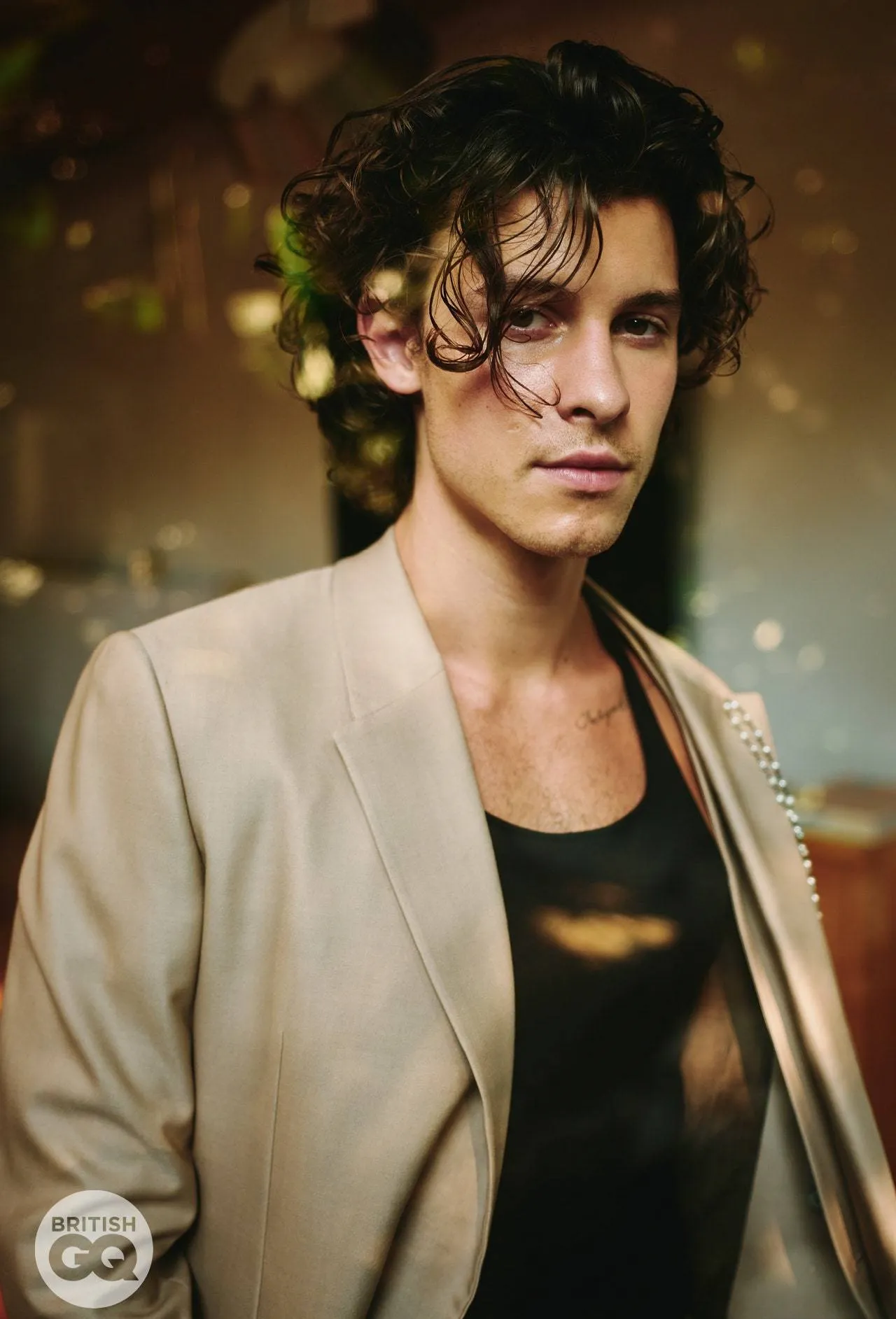 Shawn Mendes sextape