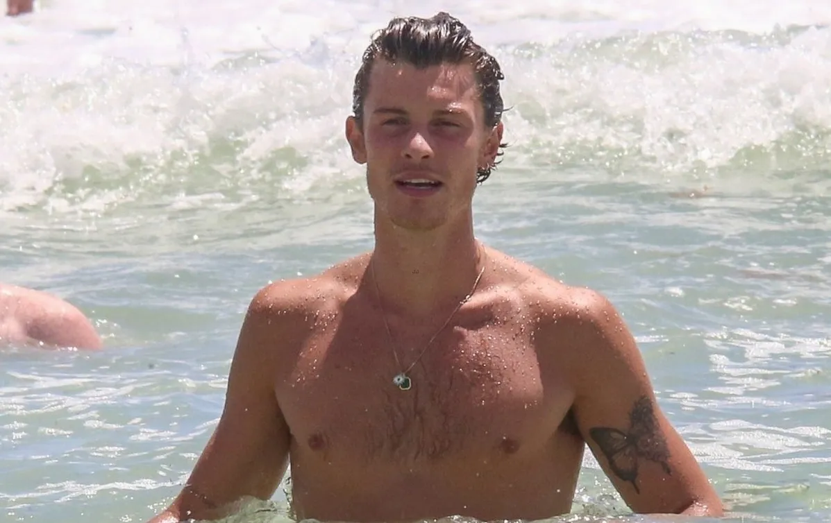 Shawn Mendes sexy body