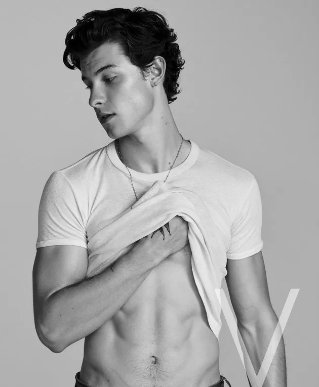 Shawn Mendes nude