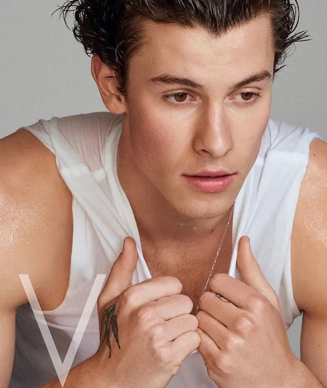 Shawn Mendes nude