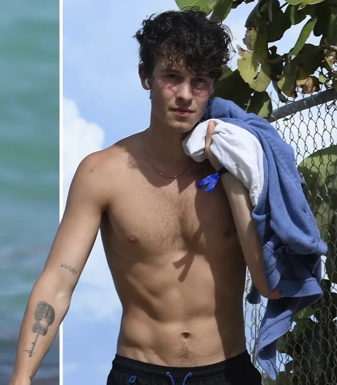 Shawn Mendes nudes