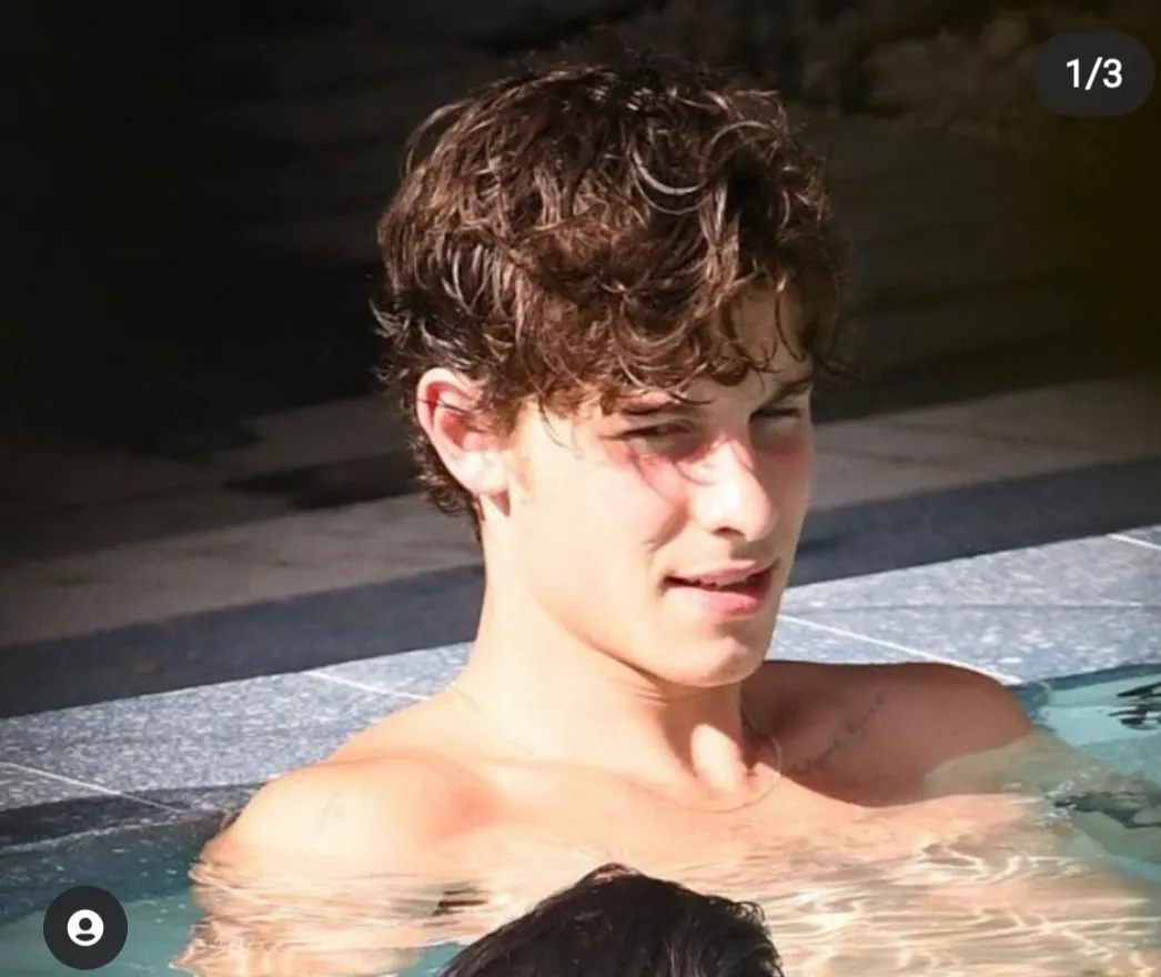 Shawn Mendes hot