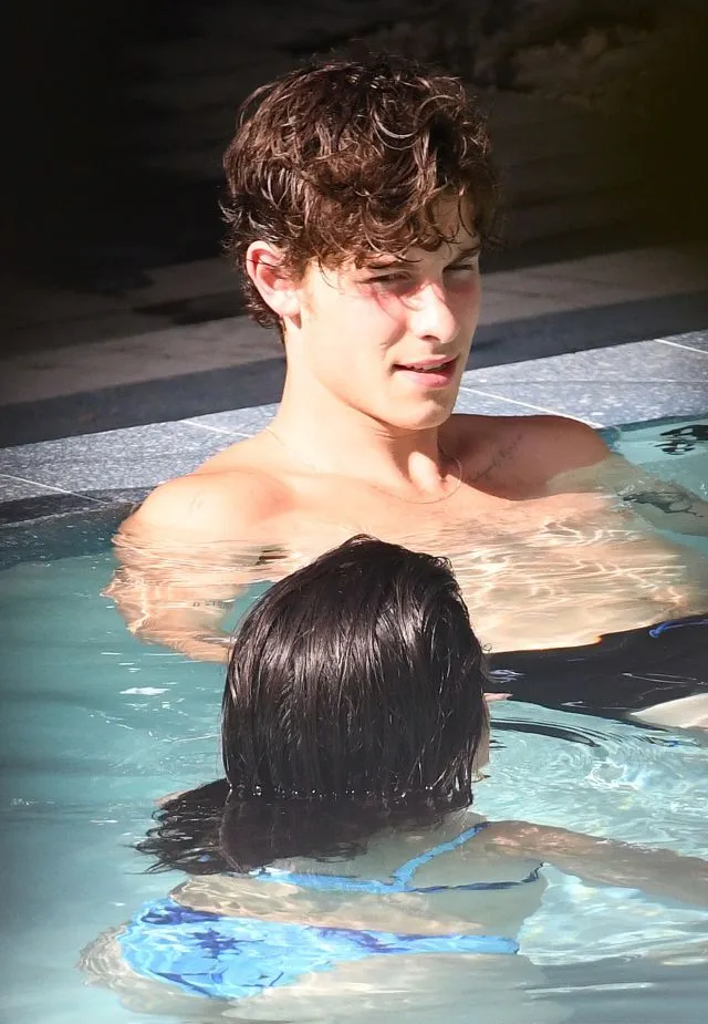 Shawn Mendes shirtless