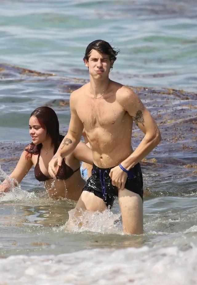 Shawn Mendes cock photos