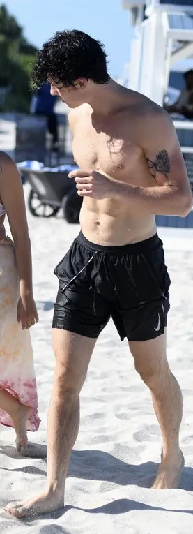 Shawn Mendes nude