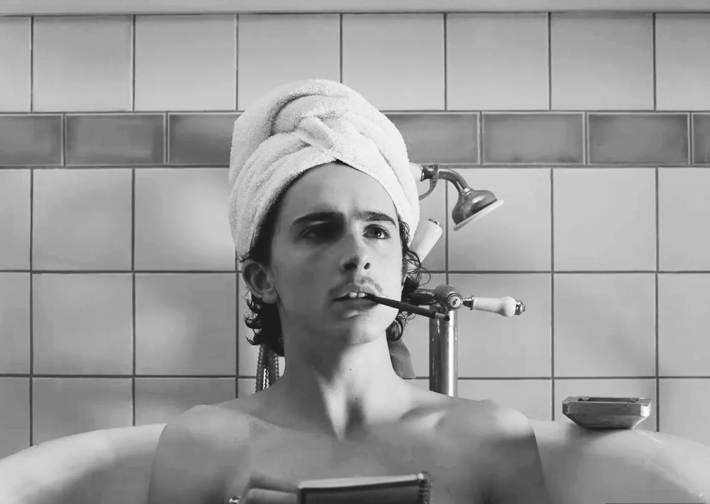 Timothee Chalamet cock 