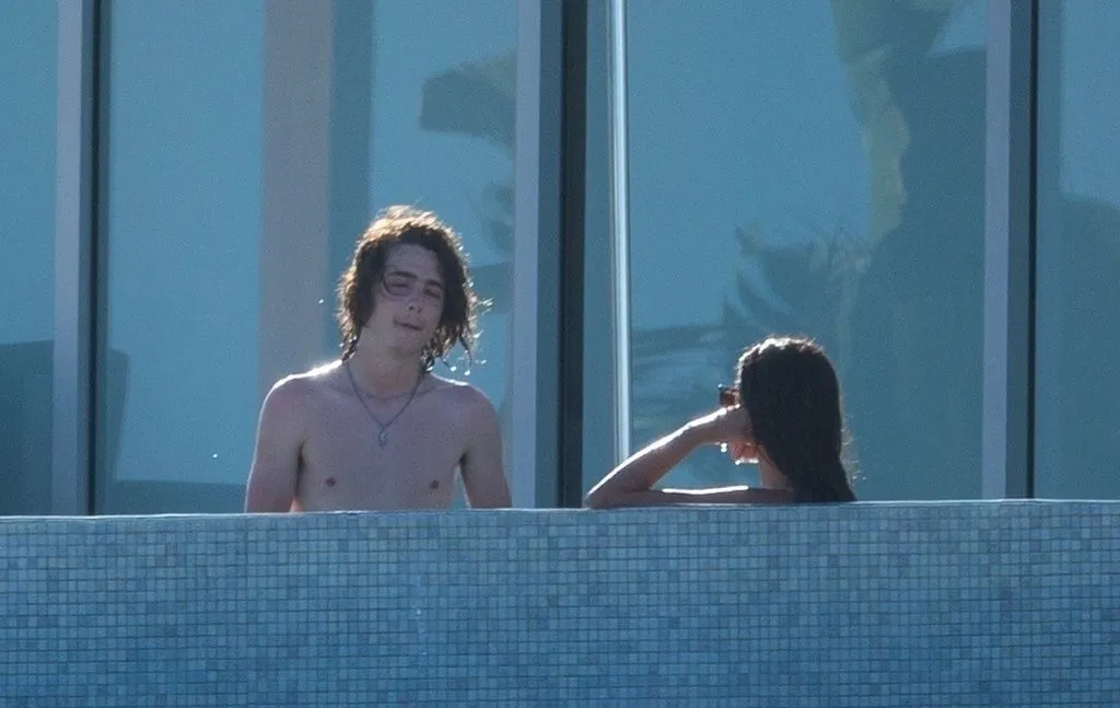 Timothee Chalamet ass