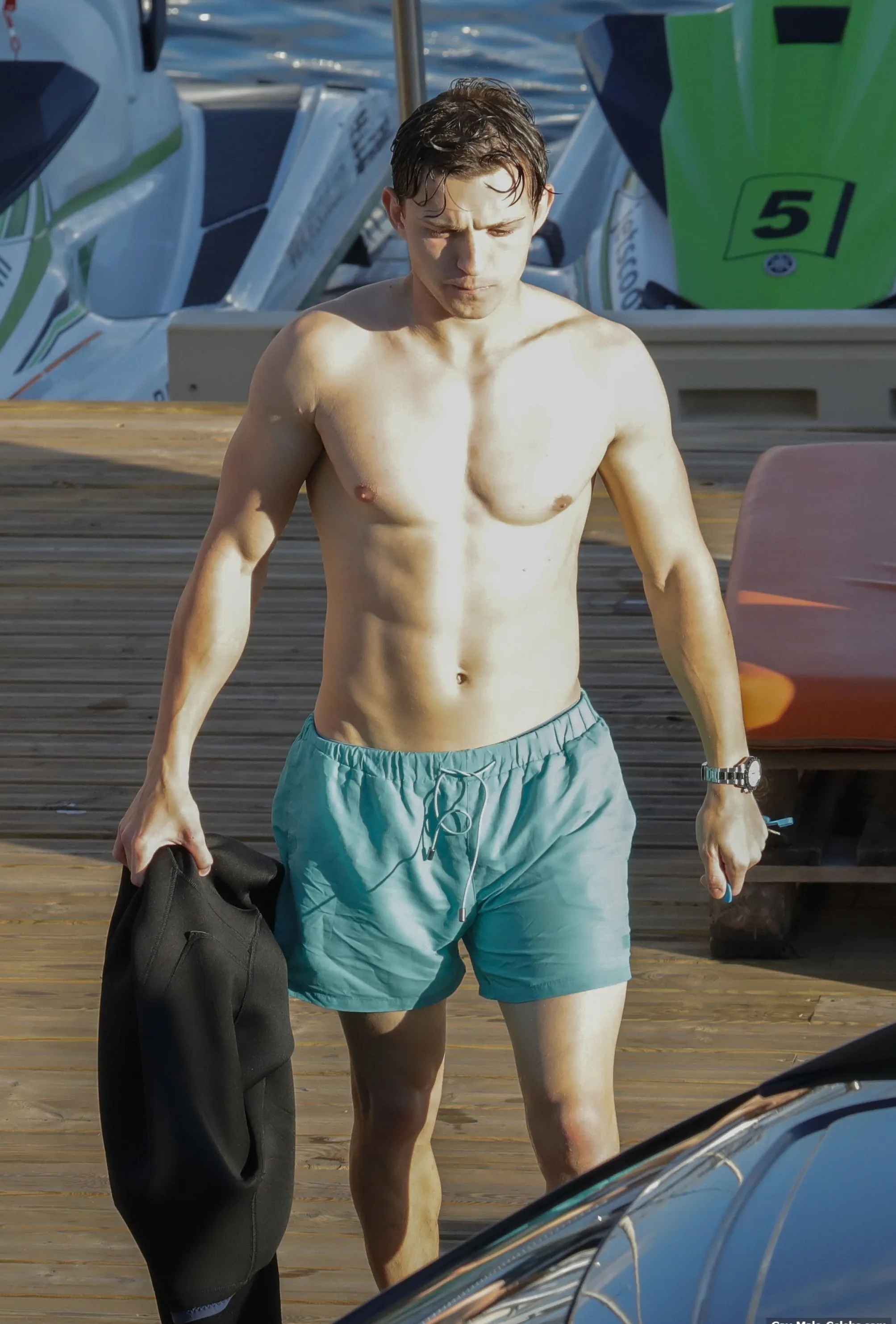 Tom Holland nude photos