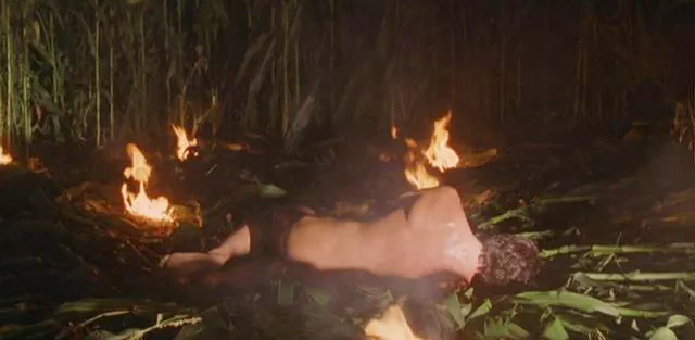 Tom Welling penis video